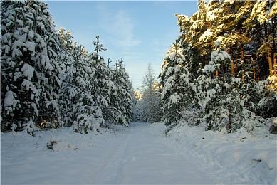 时隔五年《节奏地牢》突然更新 加入全新关卡编辑器